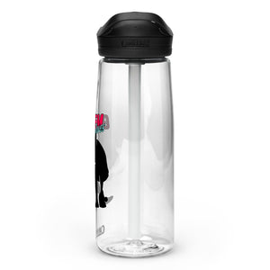 Sports water bottle