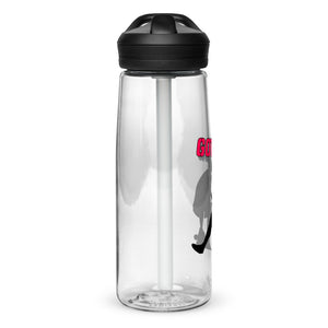 Sports water bottle